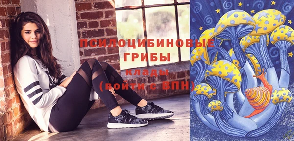 твердый Алзамай